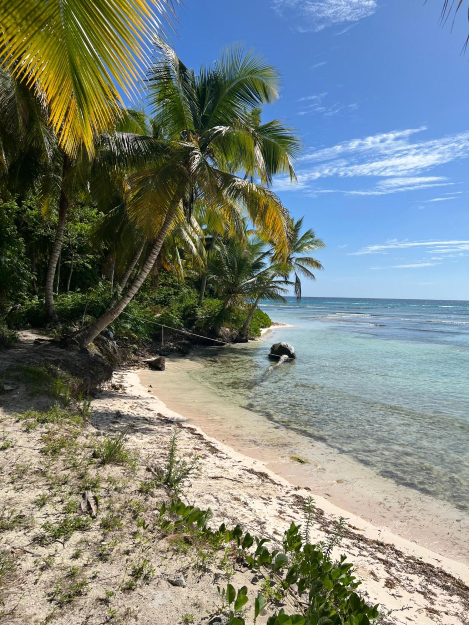 Ducassi - Sol Caribe Appartahotel Punta Cana Bavaro Zewnętrze zdjęcie